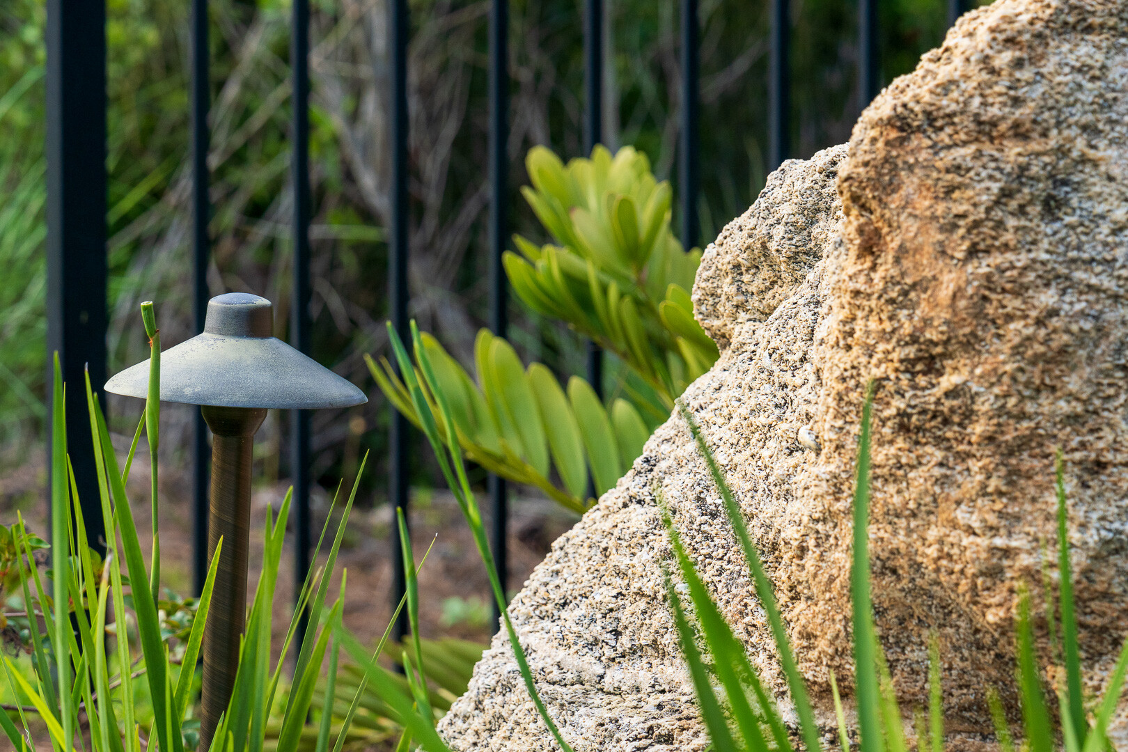 residential maintenance backyard with landscape lighting